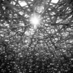 louvre-abu-dhabi-abu-dhabi-tourism-culture-authority-photography-sarah-al-agroobi-jean-nouvel-architecte-1600x1201
